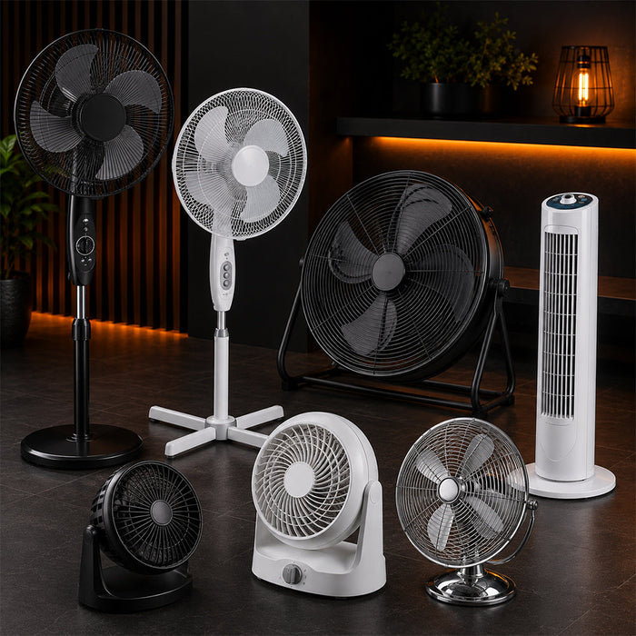 Fans