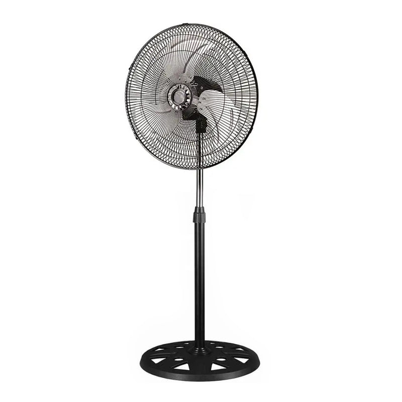 Best Selling Products