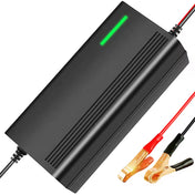 FIVESTAR 12V 20A Intelligent Battery Charger