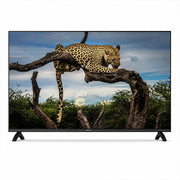 ECCO 55-Inch 4K UHD Google TV LH55