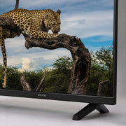 ECCO 50-Inch 4K UHD Google TV LH50